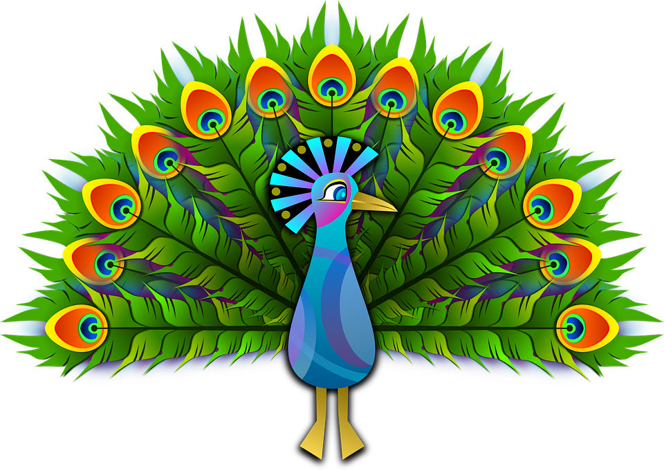 peacock-154128_960_720