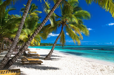 Tropical beach in caribbean sea, Saona island, Dominican Republic.