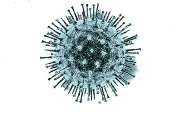 coronavirus-600x374